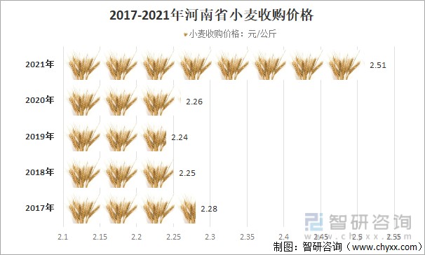 河北最新小麦市场价格动态