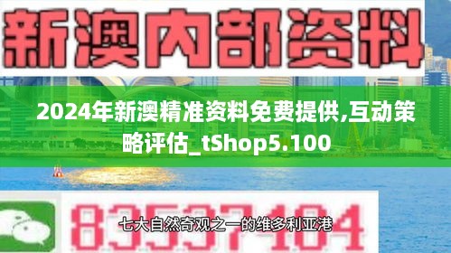 新澳2024正版免费资料｜2024年新澳正版资料分享_实地分析解释定义