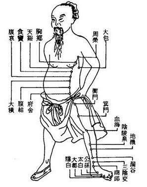 全新解析：太白经脉秘籍升级版加点攻略图解