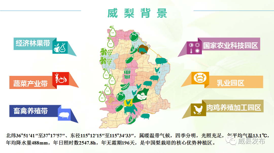 最新揭晓：辉月杏梨品牌动态与独家资讯