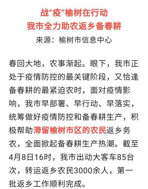 榆树动态速递：最新热点资讯一网打尽