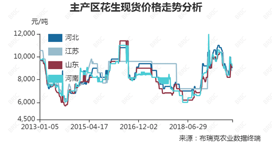 2025年花生市场最新动态与价格走势分析